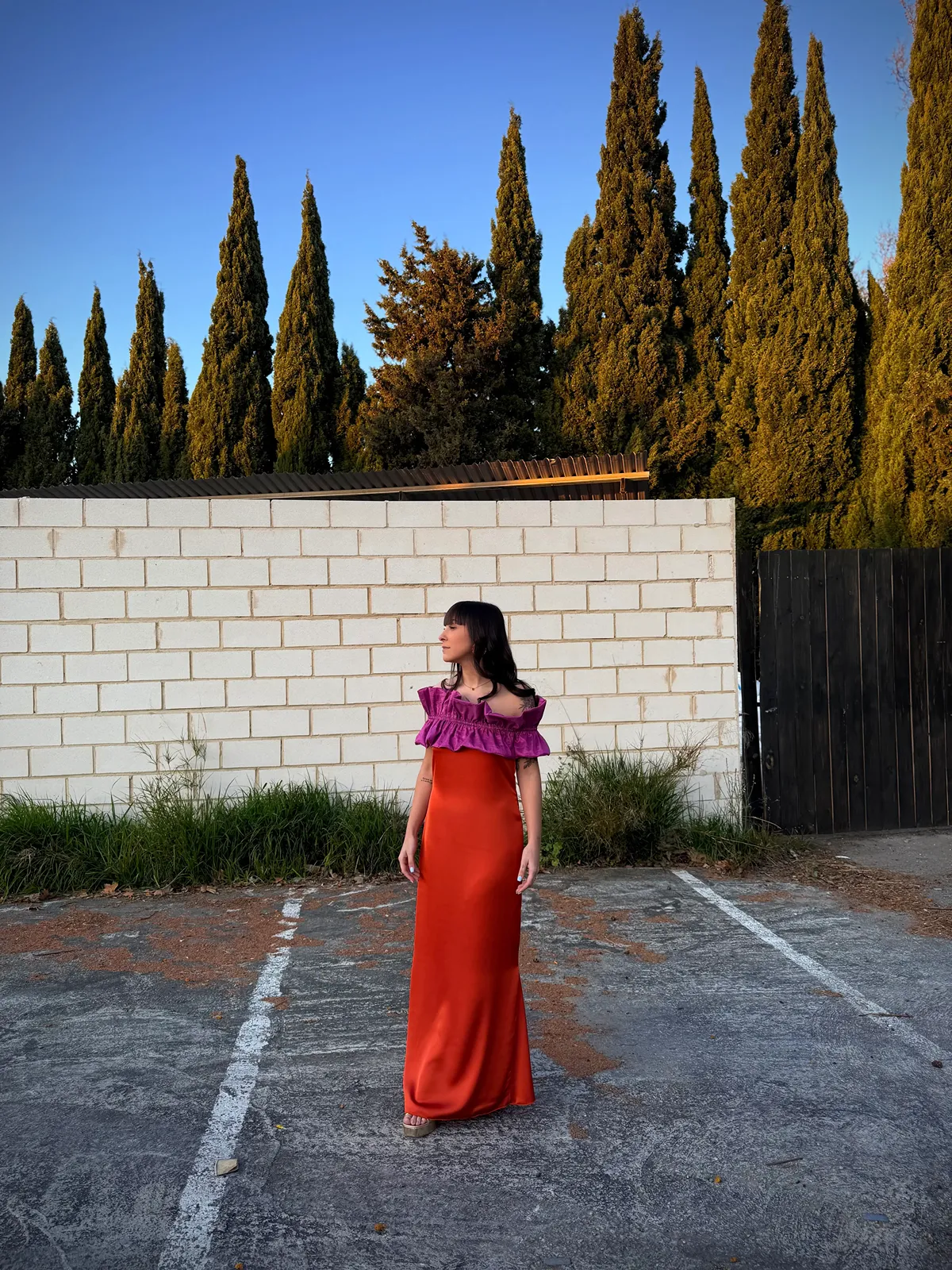 VESTIDO ARIEL - Imagen 3